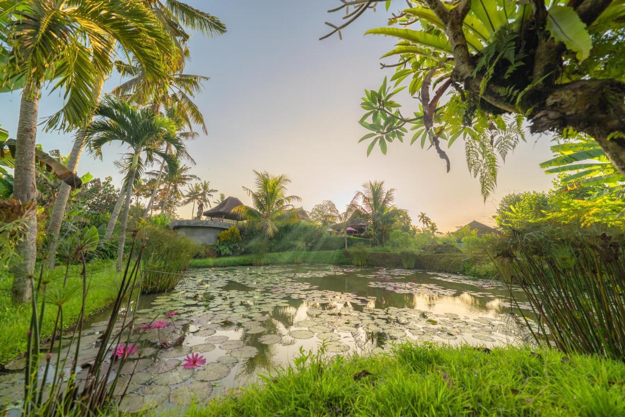 Uma Dawa Resort And Spa Ubud Esterno foto